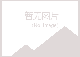 宝鸡渭滨晓夏咨询有限公司